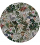 Menagerie of Extinct Animals Moooi Rug