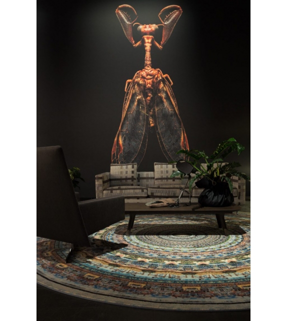 Minneapolis Moooi Rug