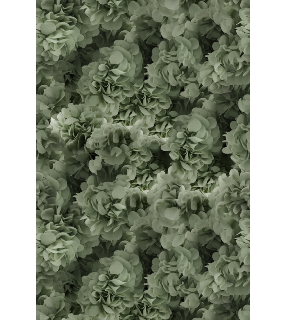 Hortensia Moooi Teppich