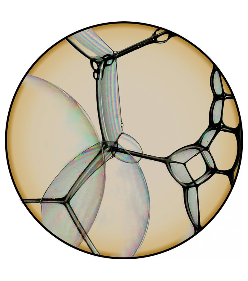 Bubble Zoom Moooi Teppich