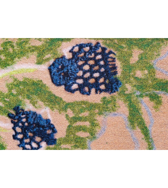 Transition Moooi Alfombra