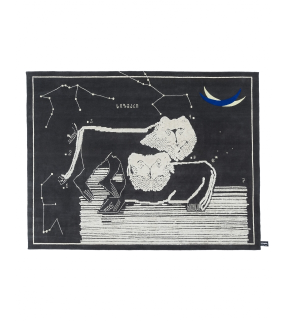 The Night of a Hunter - Lions at Night CC-Tapis Tapis