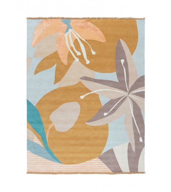 Avino - Costiera CC-Tapis Tappeto