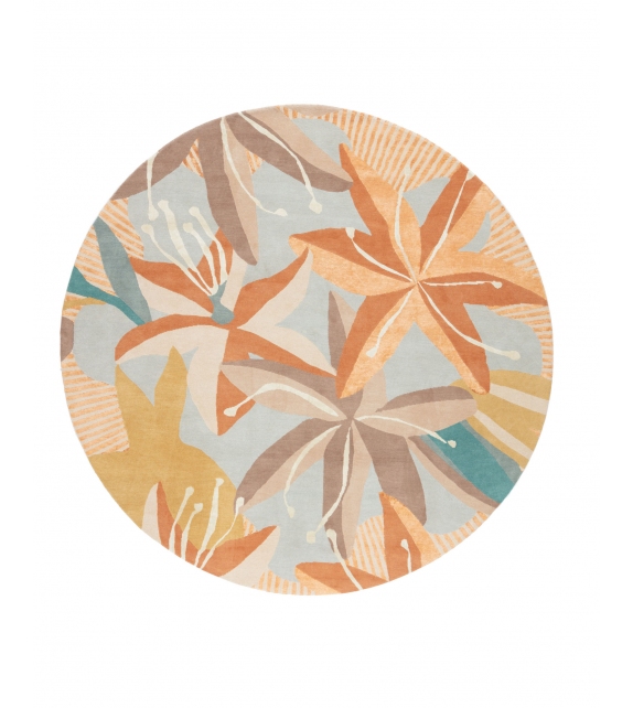 Avino - Belvedere CC-Tapis Tapis