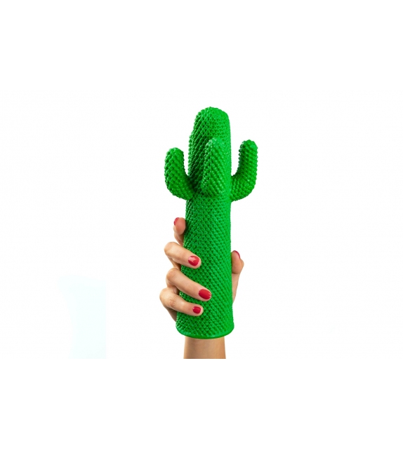 Prêt pour l'expédition - Cactus Guframini Miniature