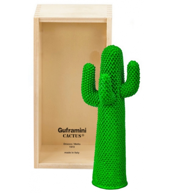 Pronta consegna - Cactus Guframini Miniatura