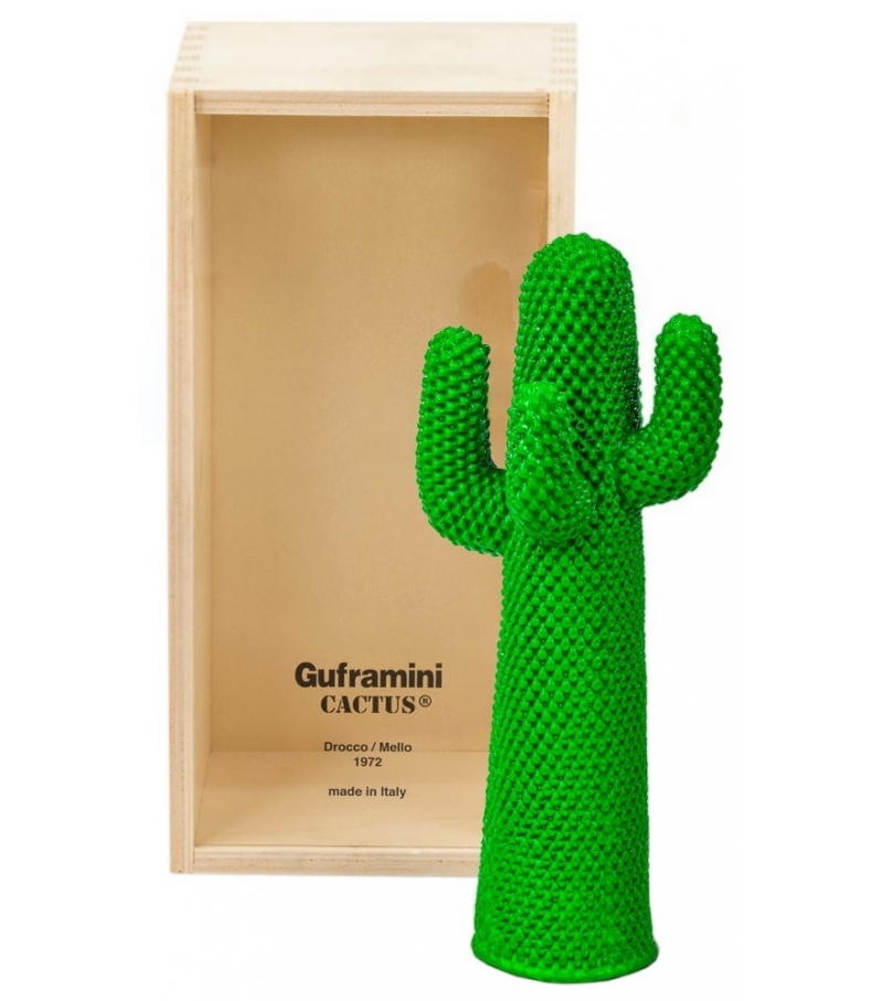 Versandfertig - Cactus Guframini Miniatur