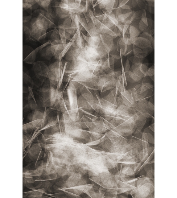 Falling Petals Moooi Teppich