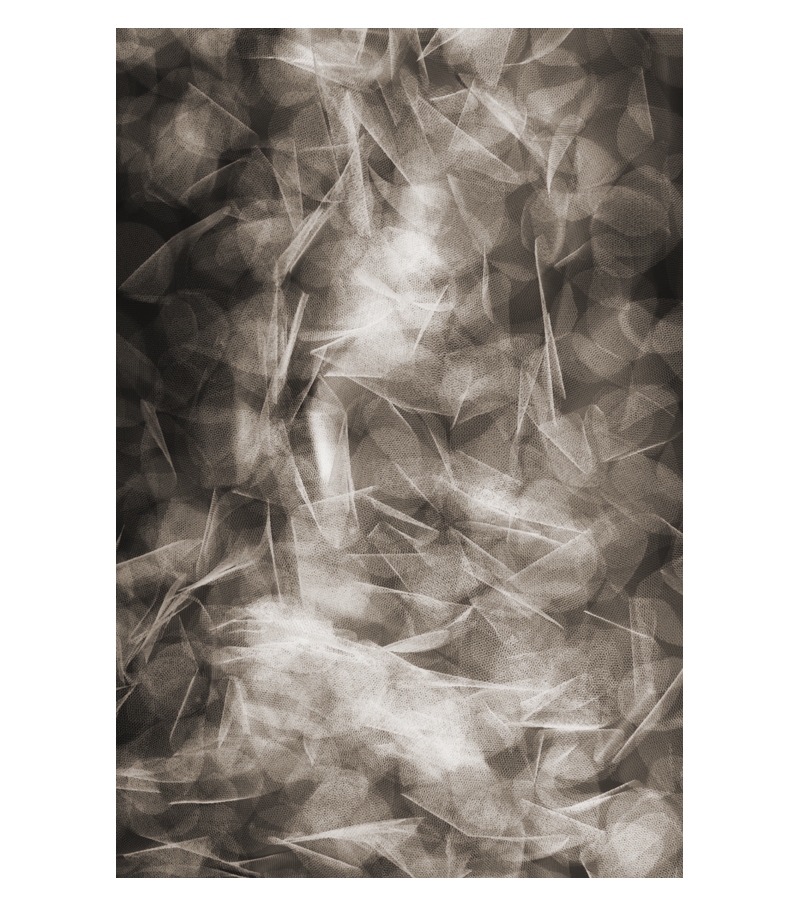 Falling Petals Moooi Teppich