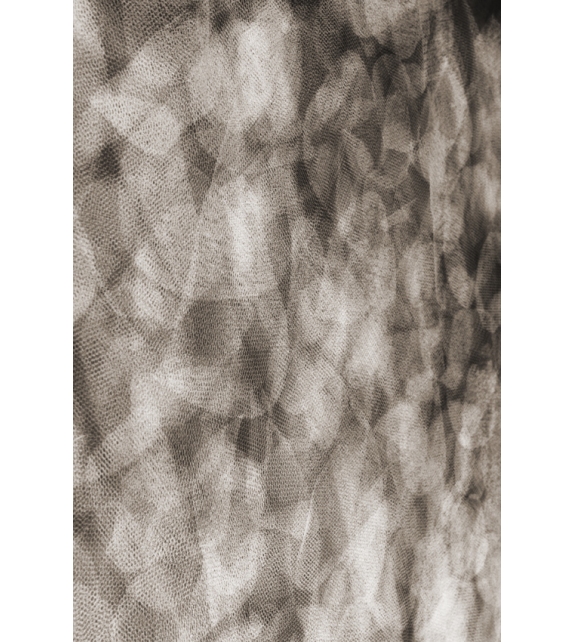 Flowing Petals Moooi Teppich