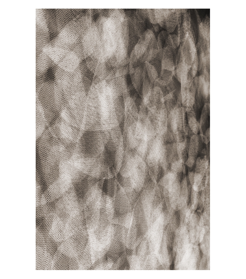 Flowing Petals Moooi Tappeto