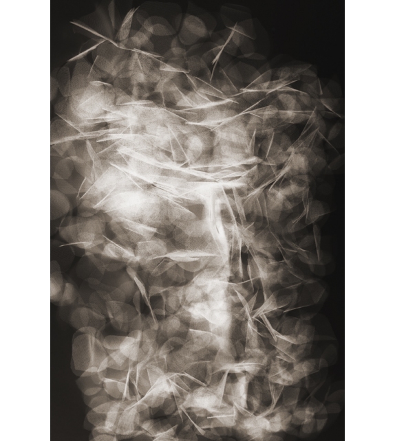 Tumbling Petals Moooi Teppich