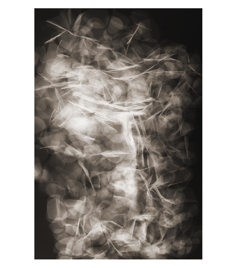 Tumbling Petals Moooi Teppich