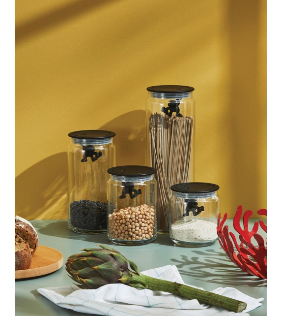 Gianni a Little Man Holding on Tight Alessi Kitchen Box