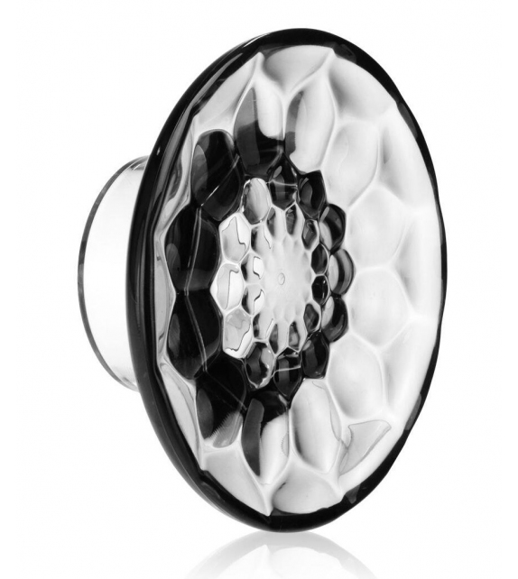 Jellies Coat Hangers Appendiabiti Medium Kartell