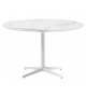 Multiplo Kartell Table Avec Branches