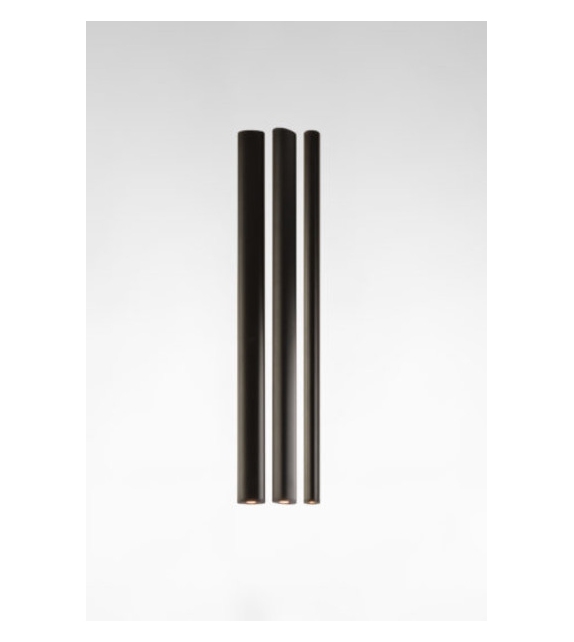 Parallels Rakumba Suspension