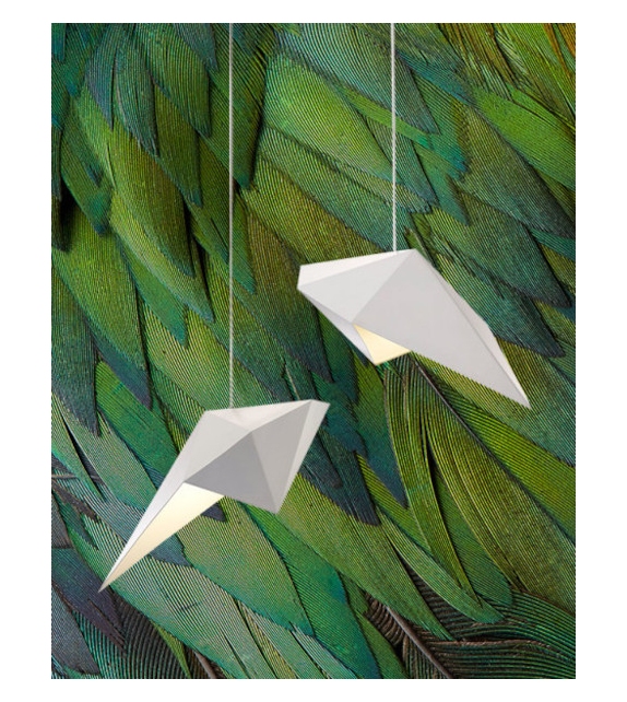 Rosella Rakumba Suspension