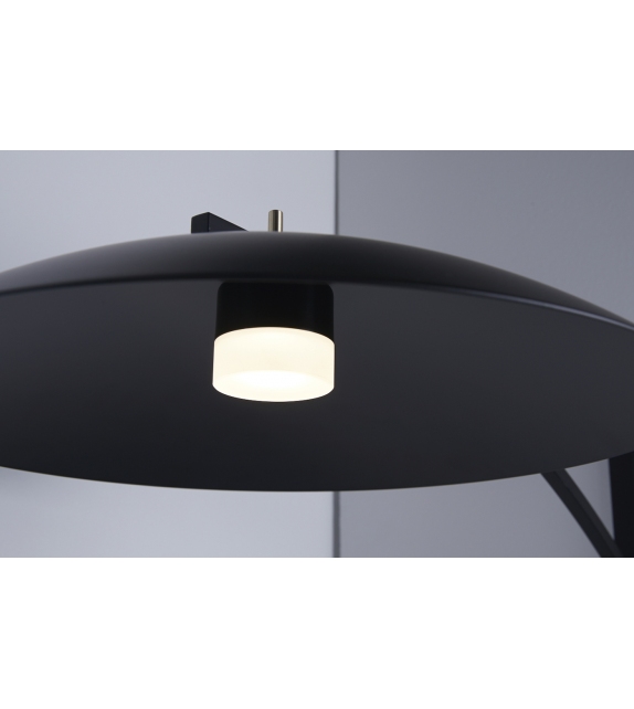 Saya Rakumba Applique