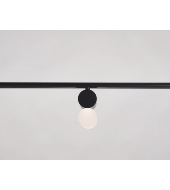 Cilon Roll Rakumba Spotlight