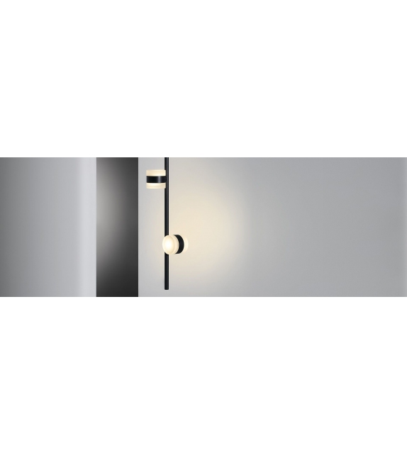 Cilon Layer Rakumba Spotlight