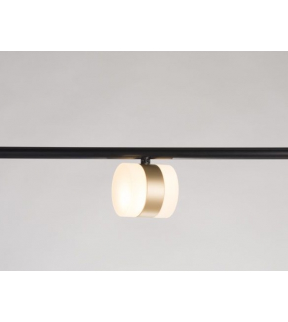 Cilon Layer Rakumba Foco