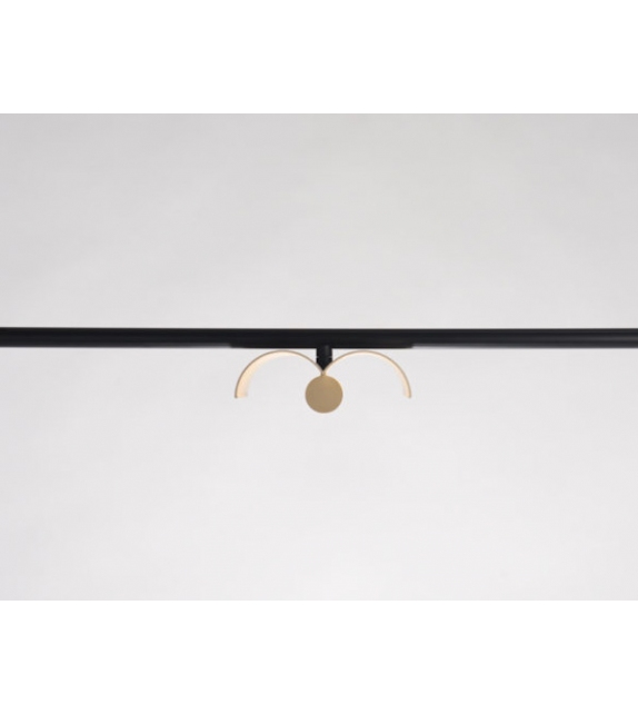 Cilon Rib Rakumba Projecteur