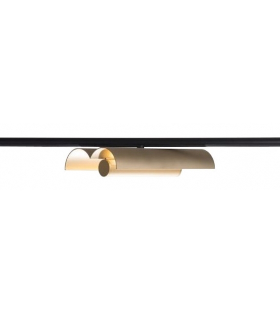 Cilon Rib Rakumba Foco