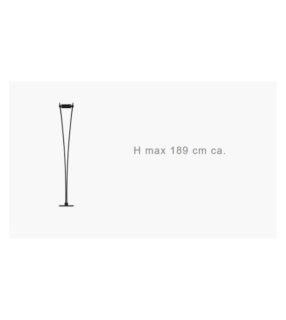 Vi. F Flex Catellani&Smith Floor Lamp