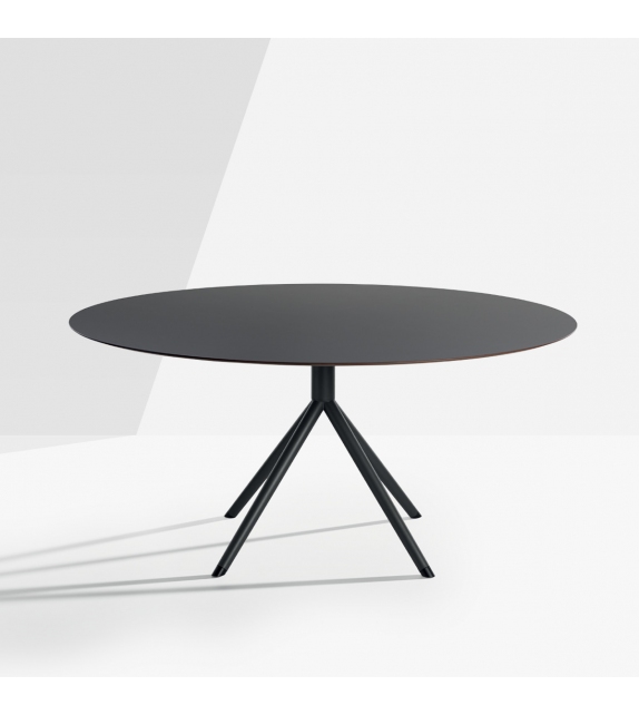 OTX Table Potocco