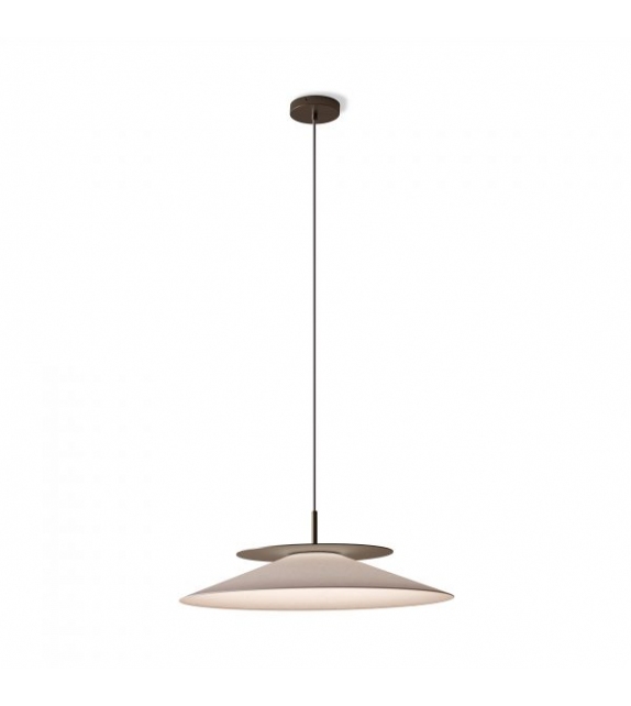 Asia Contardi Suspension