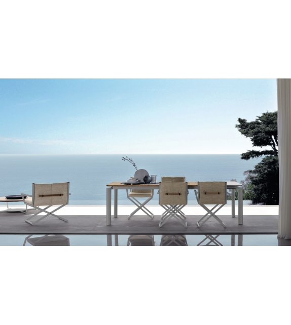 Domino Talenti Mesita