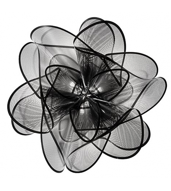 La Belle Étoile Slamp Lampada da Soffitto-Parete