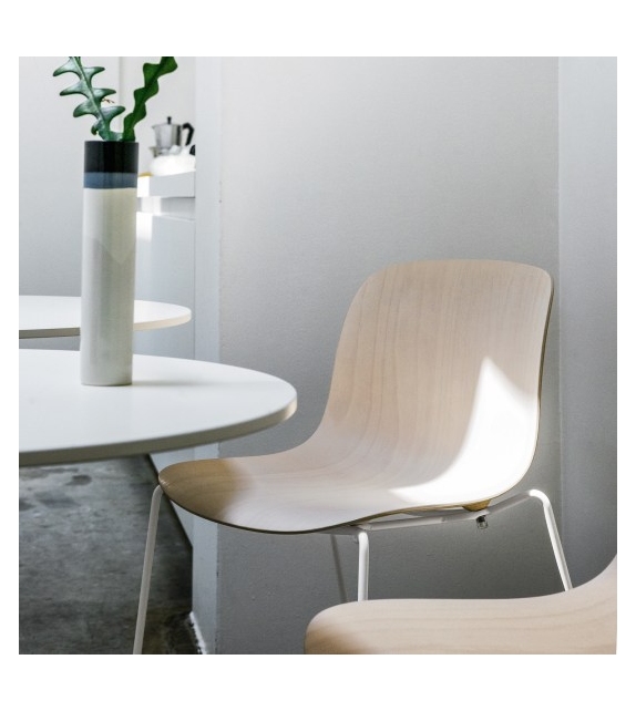 Troy Beech Magis Sedia