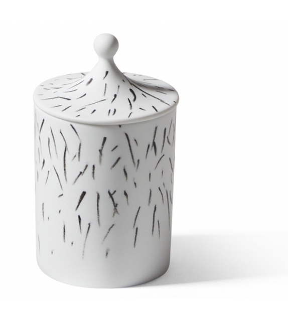 Post Scriptum Ginori 1735 x Cassina Vaso