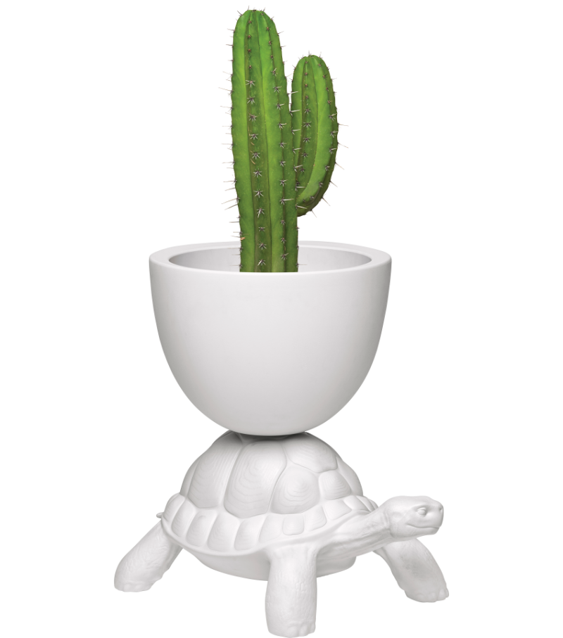 Turtle Carry Qeeboo Vase