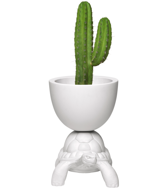 Turtle Carry Qeeboo Vaso