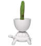 Turtle Carry Qeeboo Vaso