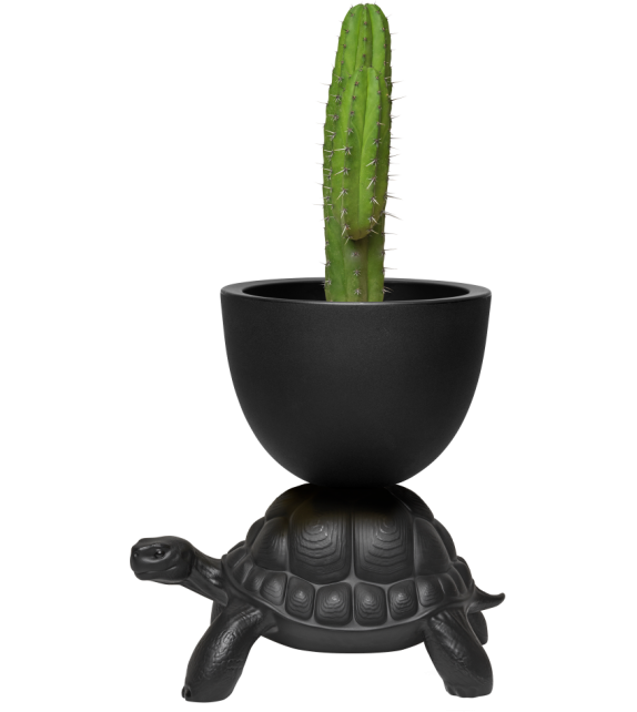 Turtle Carry Qeeboo Vaso