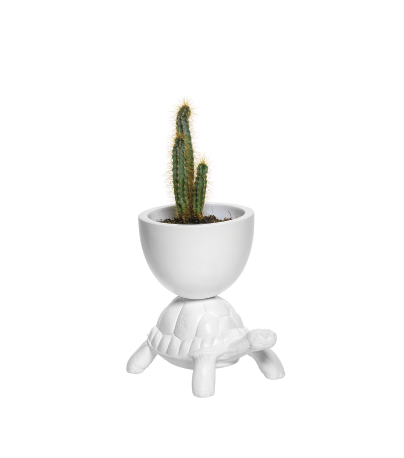 Turtle Carry Qeeboo Vase