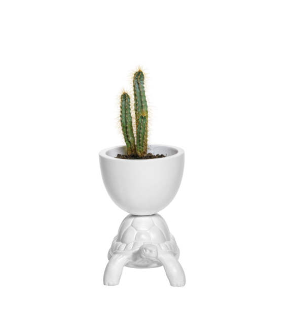 Turtle Carry Qeeboo Vase