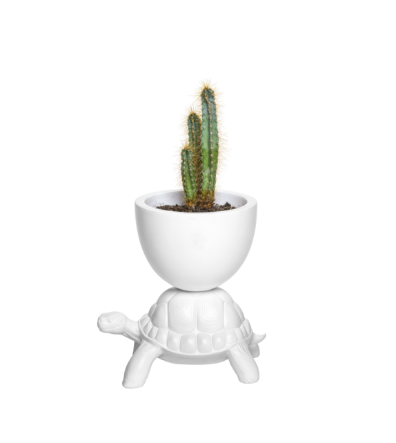 Turtle Carry Qeeboo Vaso