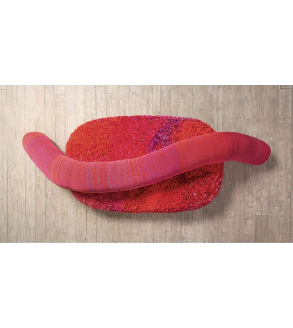 Metamorfosi Centopeia Paola Lenti Séance