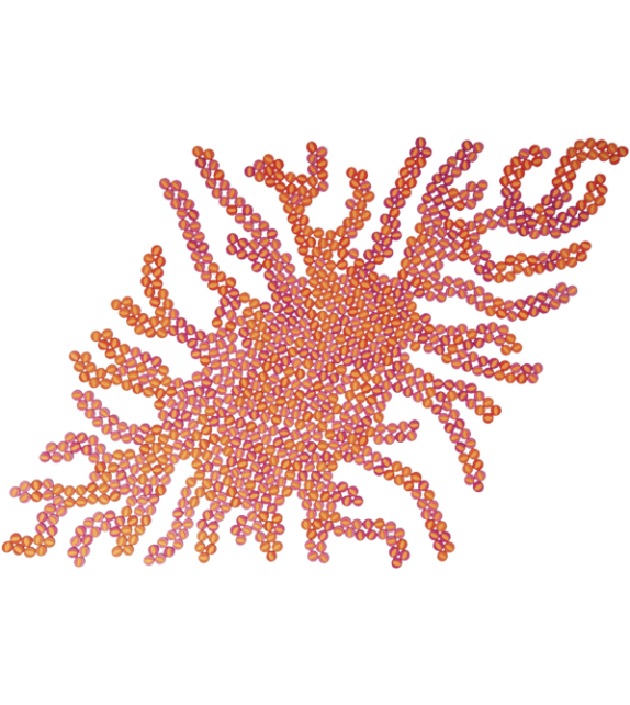 Metamorfosi Morpho Paola Lenti Wandschmuck