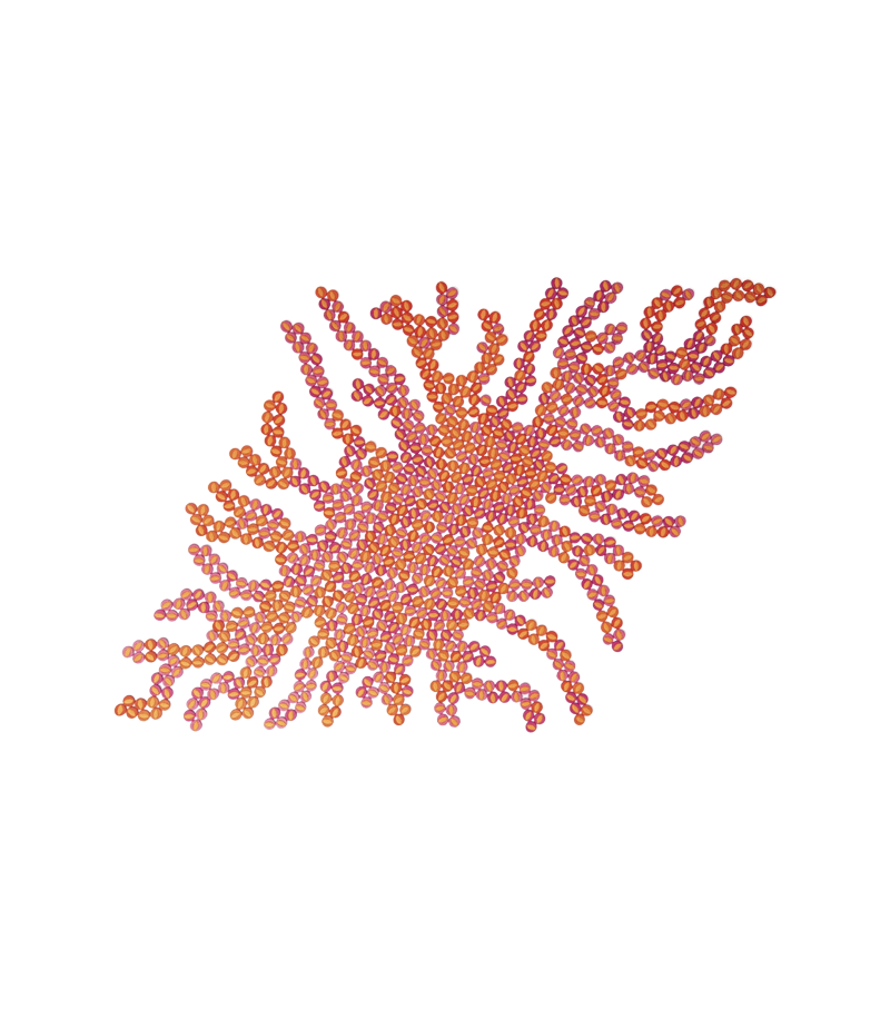 Metamorfosi Morpho Paola Lenti Decoración de Pared