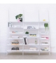 Tyke - The Wild Bunch Magis Shelving System