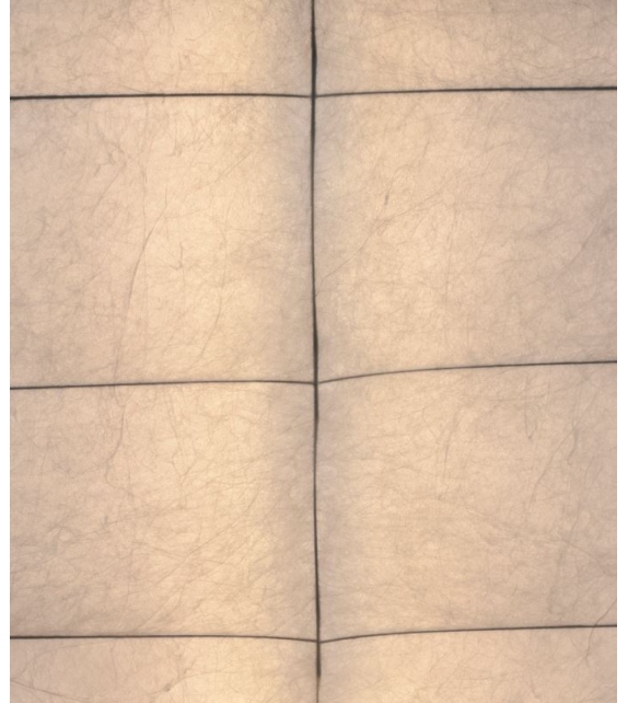 Gunta Tacchini Screen