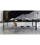 Passe-partout Table Magis