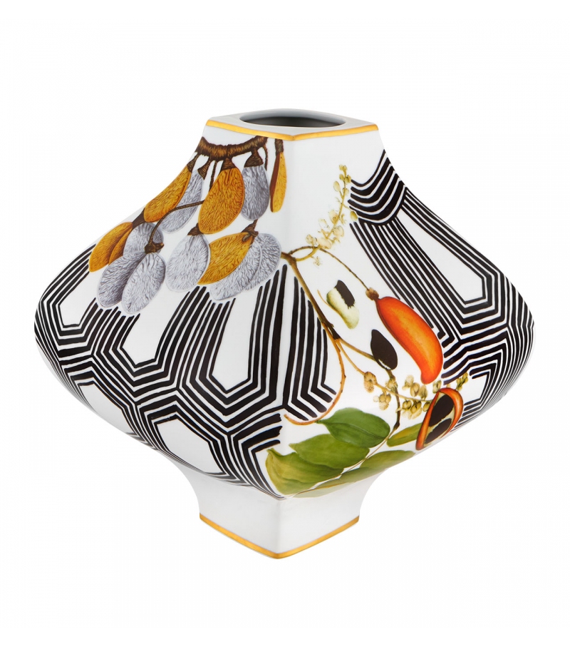 Sementes Vista Alegre Vaso