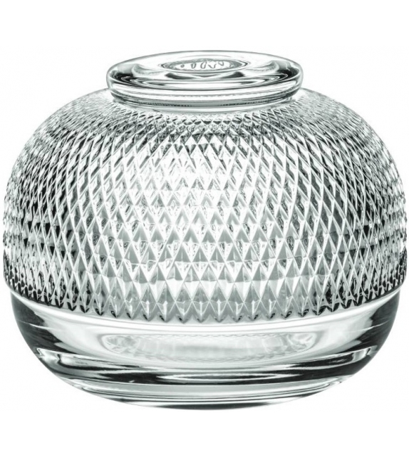 Camellia Vista Alegre Caja